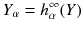 $$Y_\alpha = h^\infty _\alpha (Y)$$