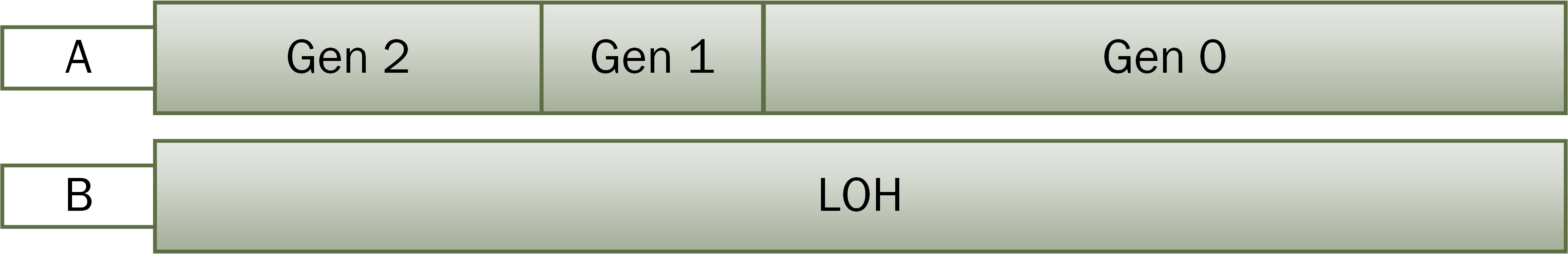 Heap layout after garbage collection.