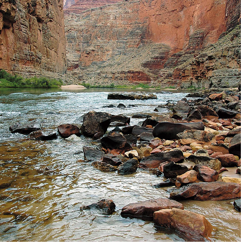 iStock_000006728882Medium_ArizonaAndTheGrandCanyon_EC.jpg