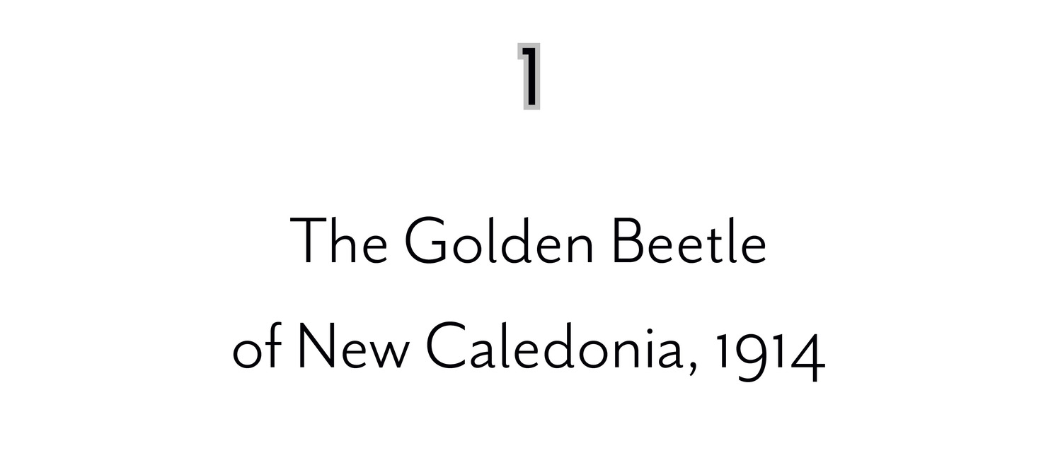 1 The Golden Beetle of New Caledonia, 1914