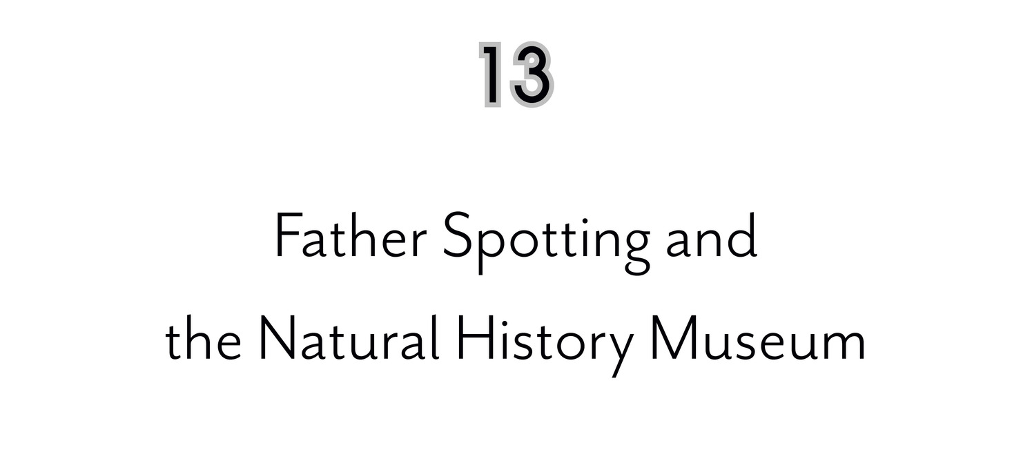 13 Father Spotting and the Natural History Museum