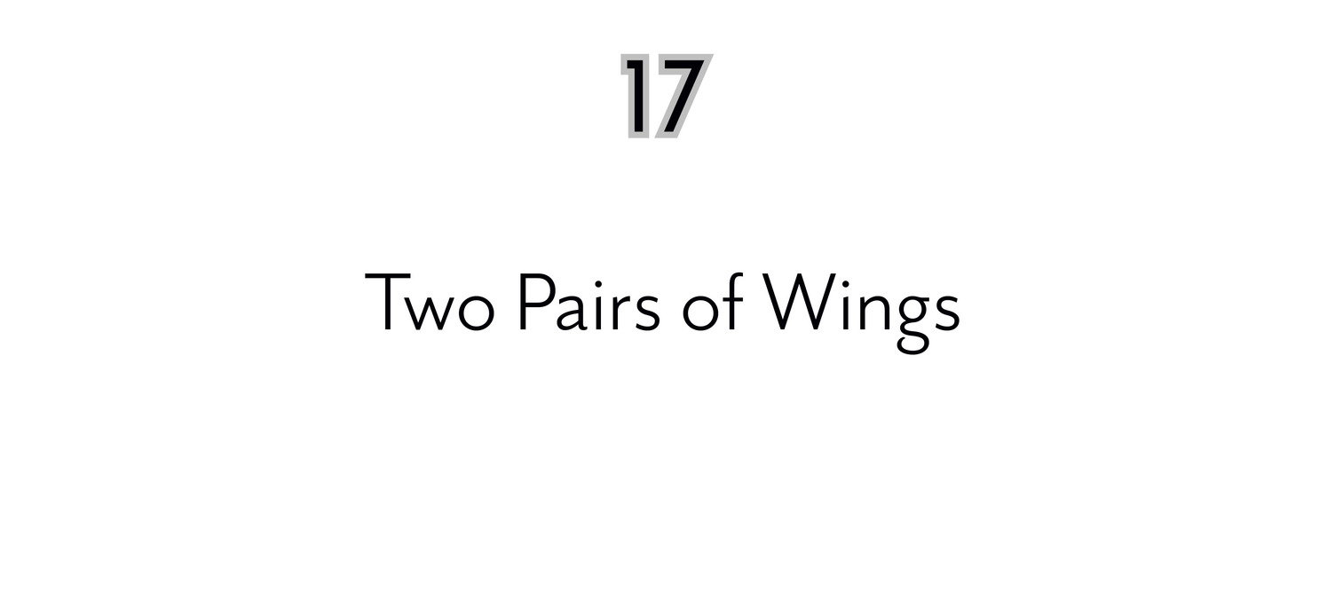 17 Two Pairs of Wings