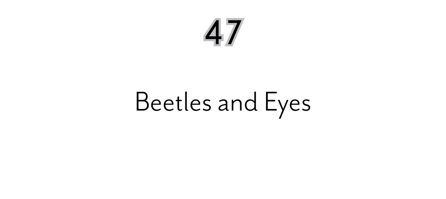 47 Beetles and Eyes