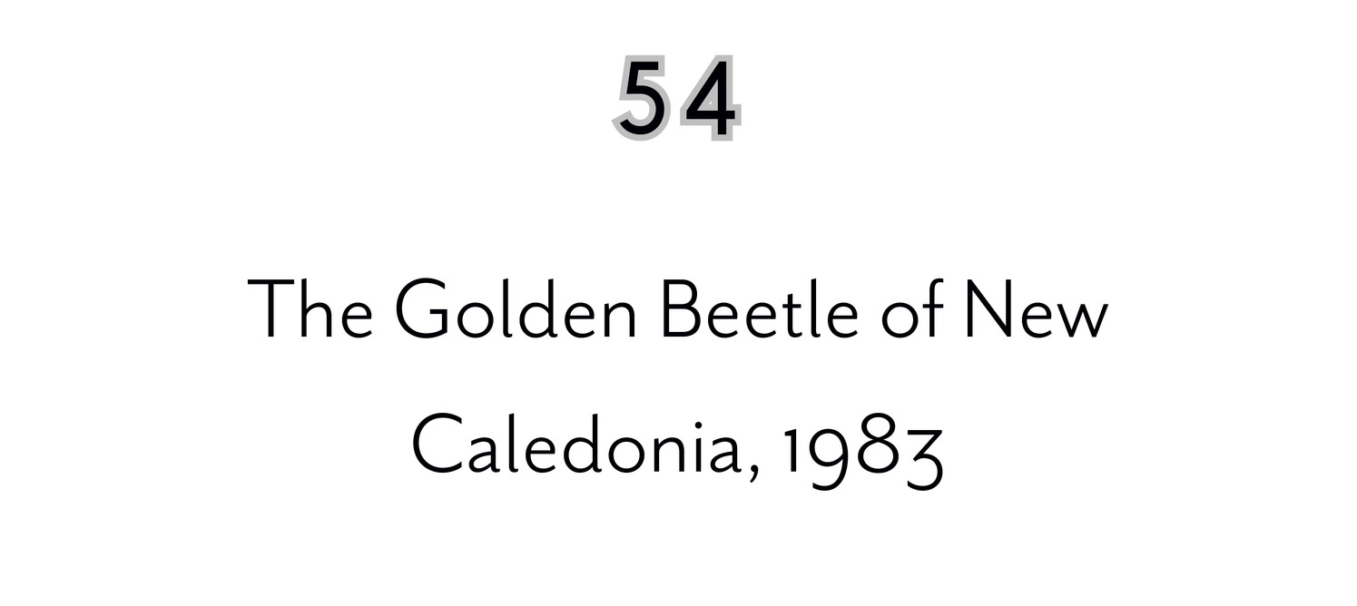 54 The Golden Beetle of New Caledonia, 1983