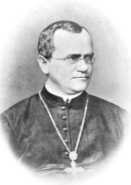 Gregor_Mendel_Monk.psd