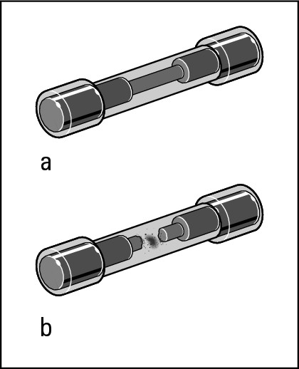 Figure 6-9:  A good tubular fuse (a) and a burned-out fuse (b).