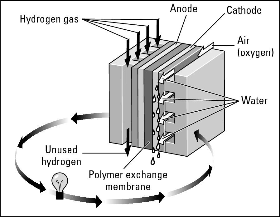 Figure 10-6:  How a fuel cell works.