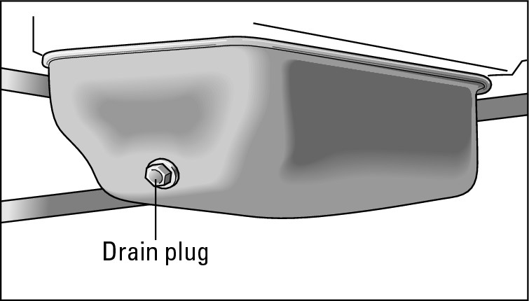 Figure 13-6:  The drain plug is located at the bottom of your oil pan.