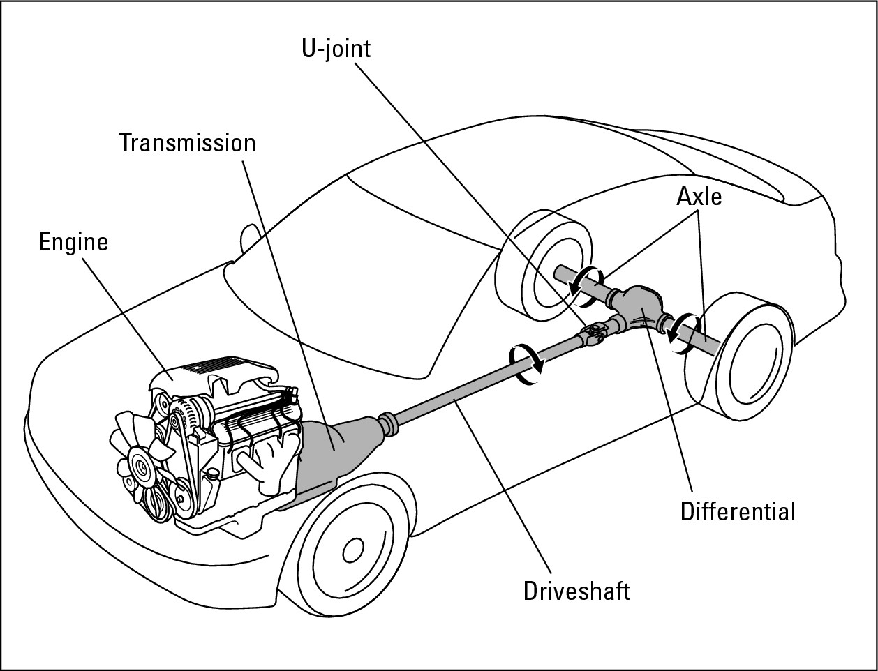 Figure 18-3:  The differential on a rear-wheel drive vehicle makes the axle and the rear wheels move at right angles to the spinning driveshaft.