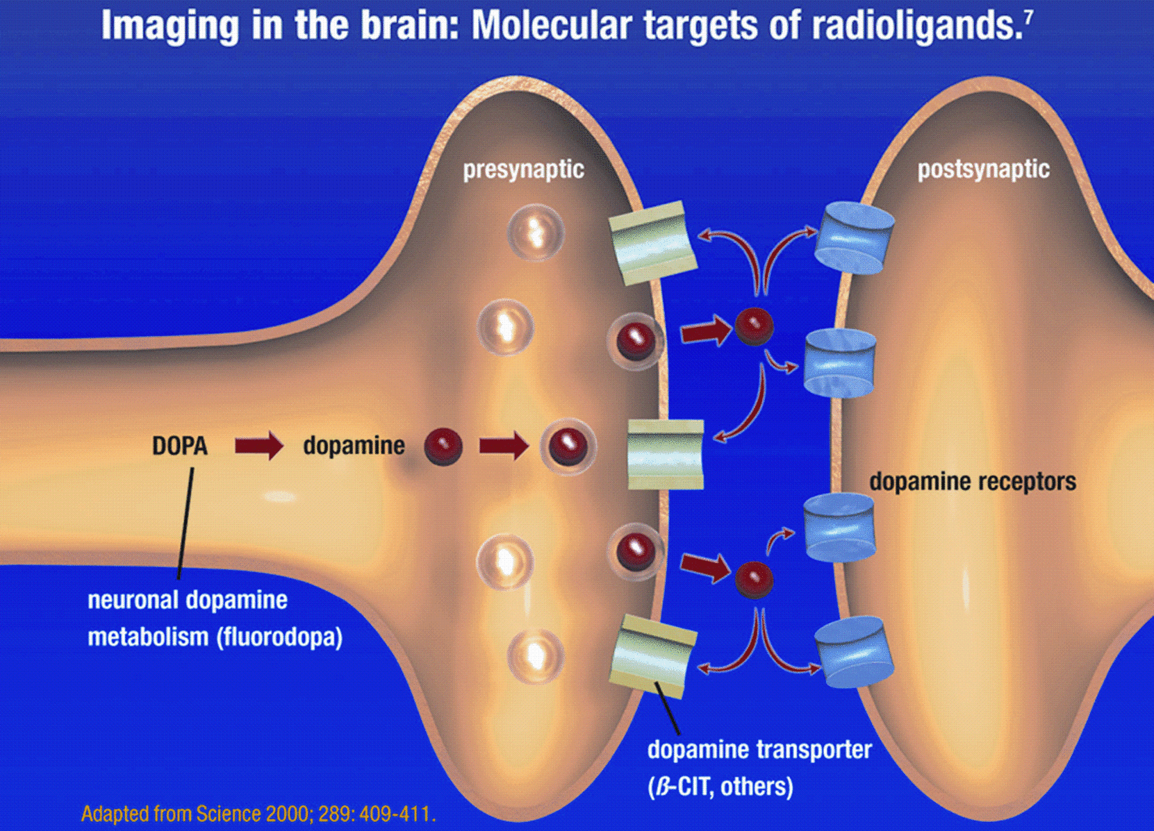 A978-0-387-76420-7_4_Fig2_HTML.gif