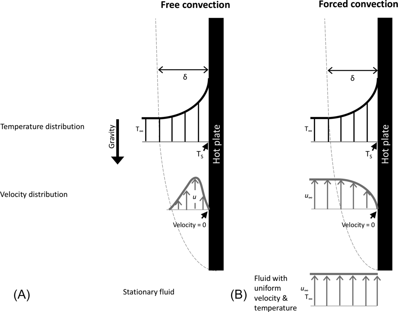 Fig. 11.5