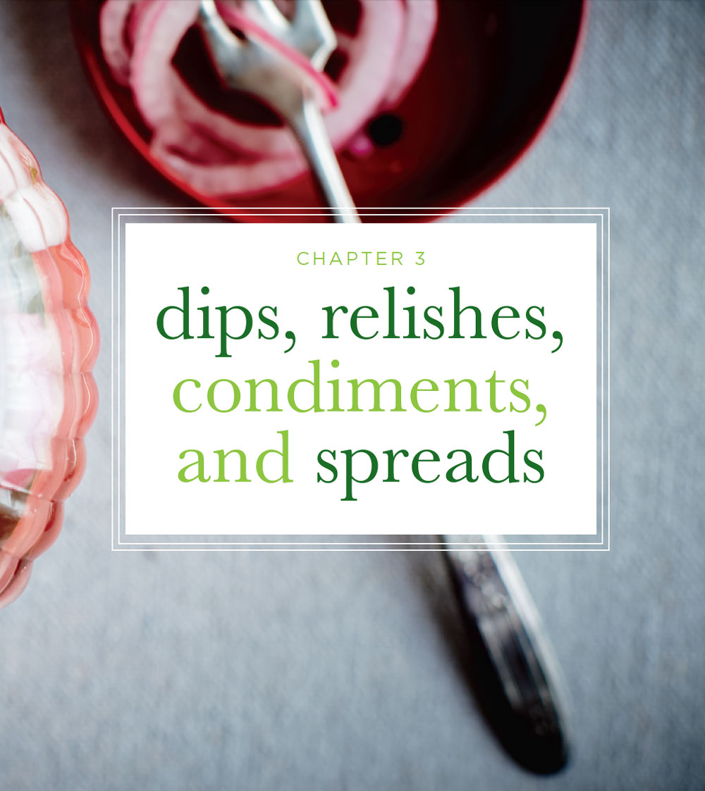 Chapter 3: Dips, Relishes, Condiments, and Spreads