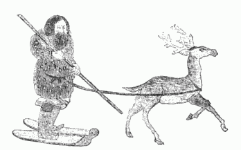 AN AINO MAN SKATING AFTER A REINDEER.