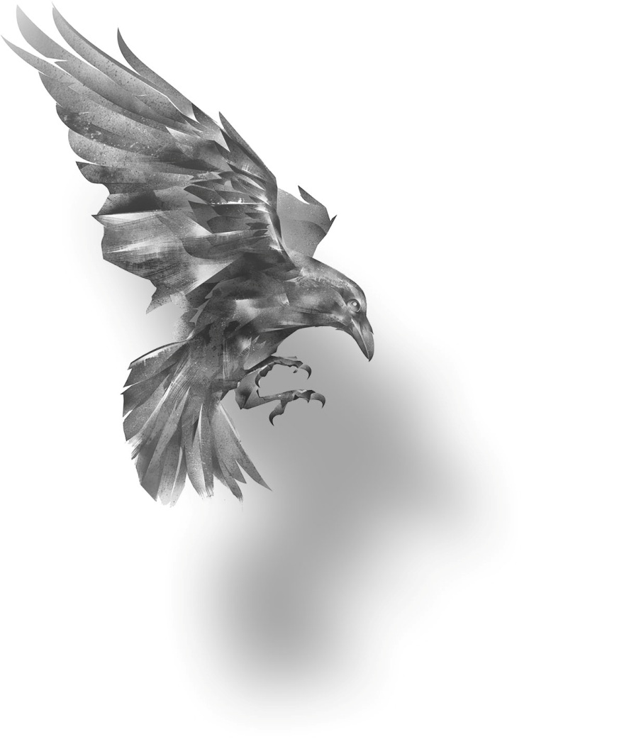 Crow.jpg