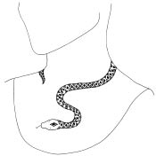 snake_30.tif