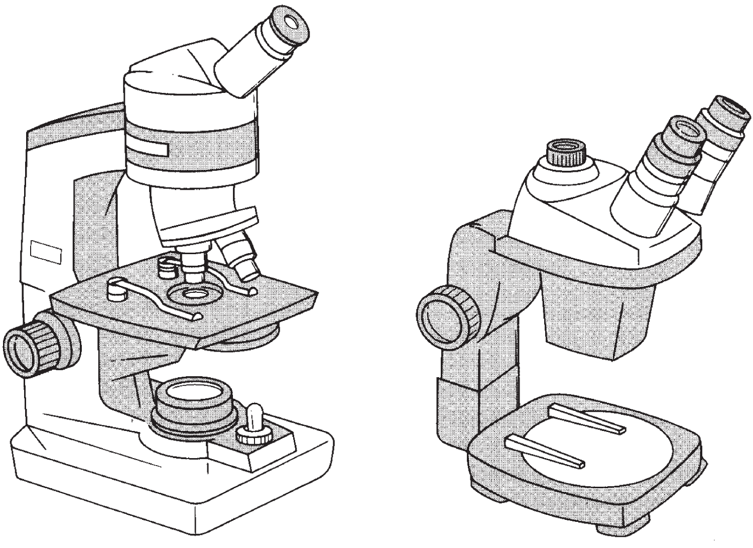 Light microscope (left) and stereomicroscope (right). The resolving power of the light microscope rarely exceeds a magnification of 1500×. The stereomicroscope, sometimes called a dissecting microscope, has two eyepieces, which render relatively large objects three-dimensional. Magnification ranges from 4× to 80×.