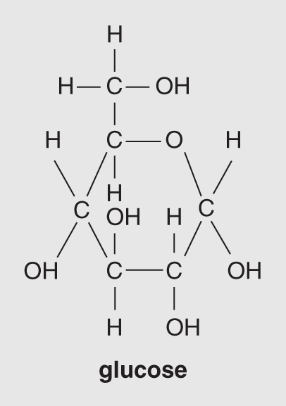 Ring structure of glucose (C6H12O6), depicting chains of five or more carbon atoms usually rearranged into the ring structure.