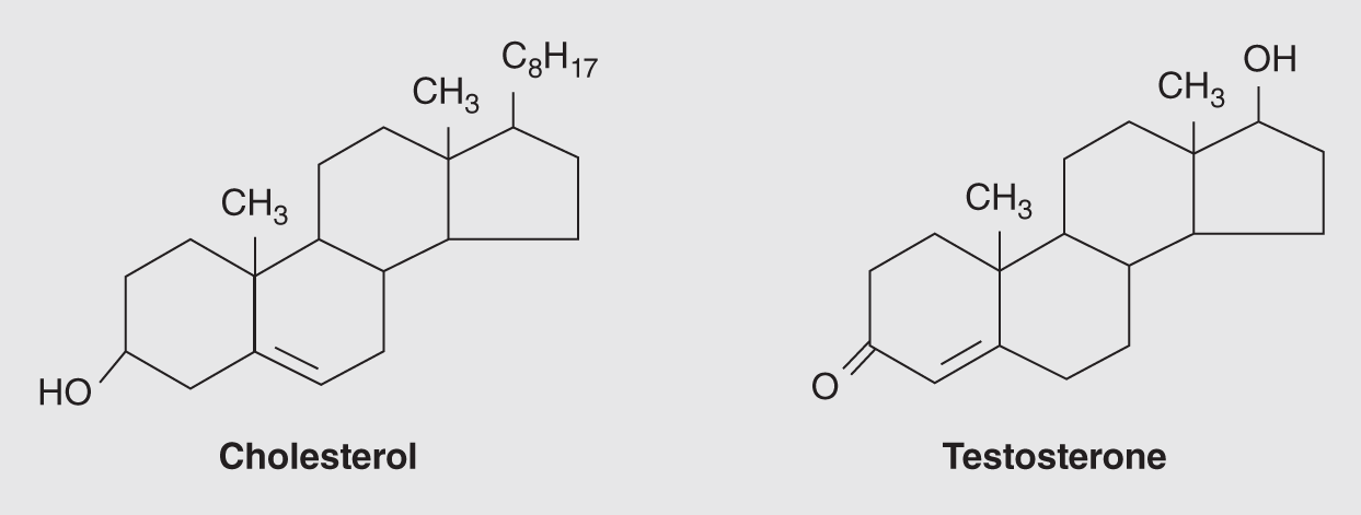 Ring structures of two well-known steroids - Cholesterol (left) and Testosterone (right).