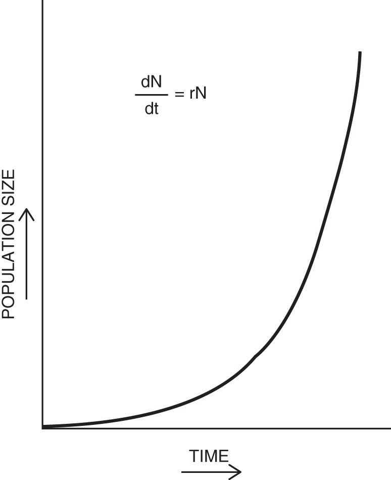 Graph depicting the exponential growth curve representing populations that grow in a more controlled manner on a logarithmic scale.