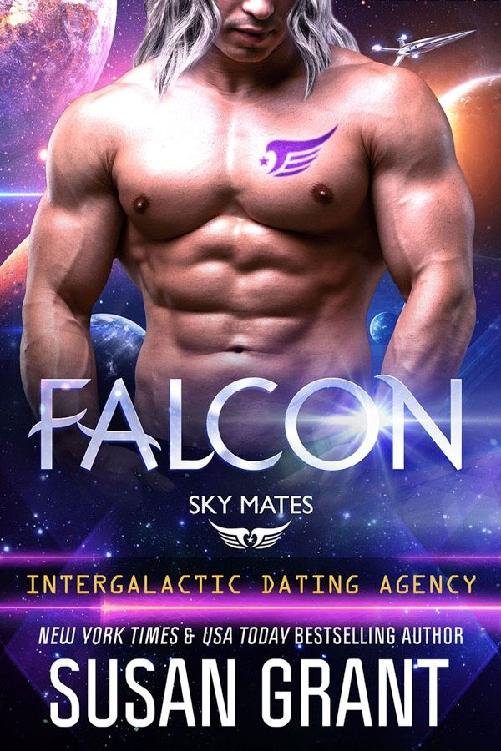 Falcon: Sky Mates #2