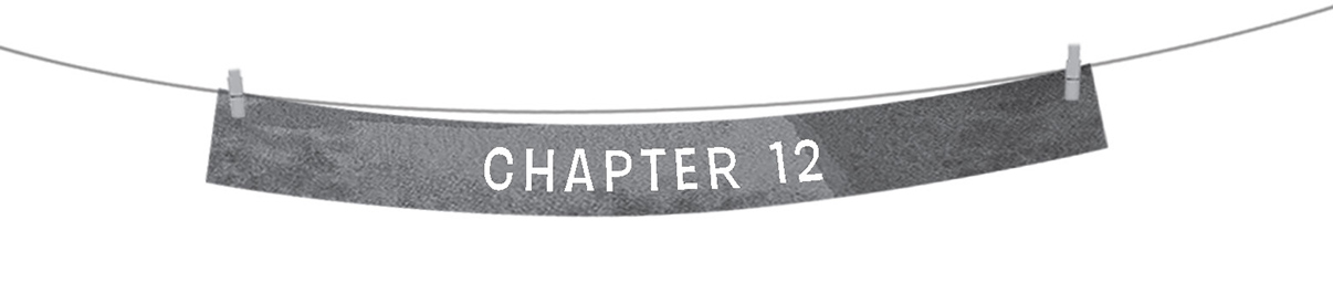 Chapter 12