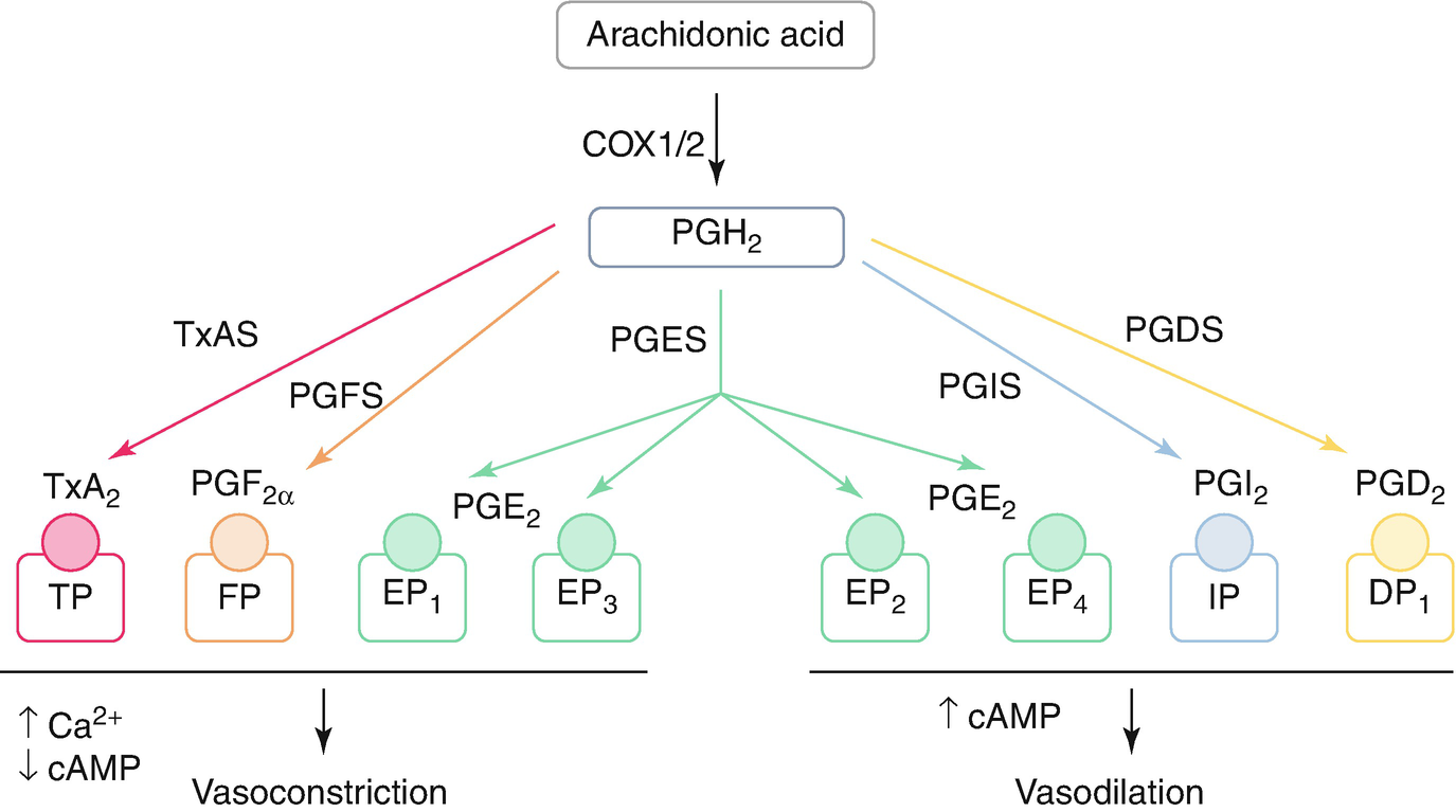 ../images/461877_1_En_5_Chapter/461877_1_En_5_Fig1_HTML.png