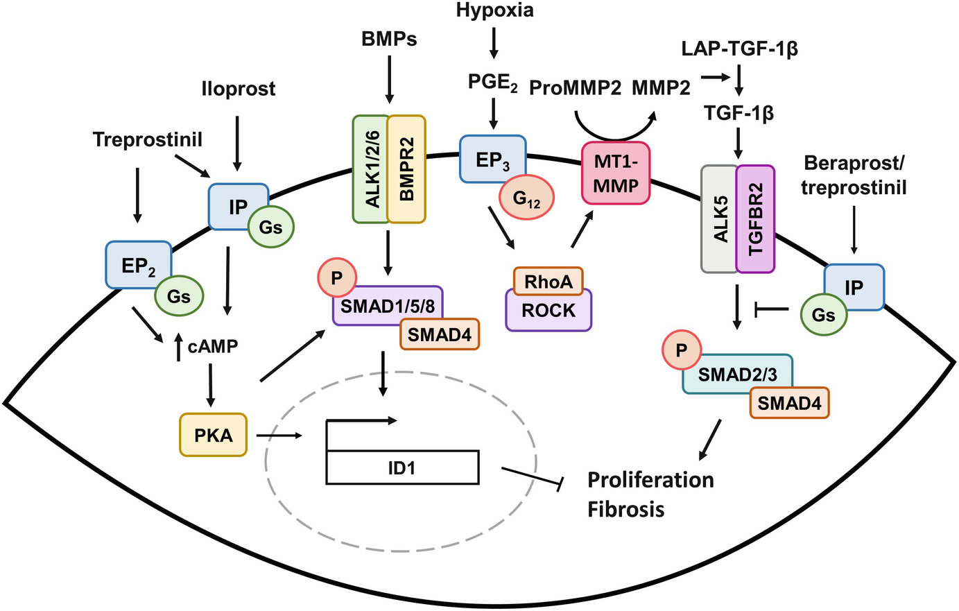 ../images/461877_1_En_5_Chapter/461877_1_En_5_Fig4_HTML.png