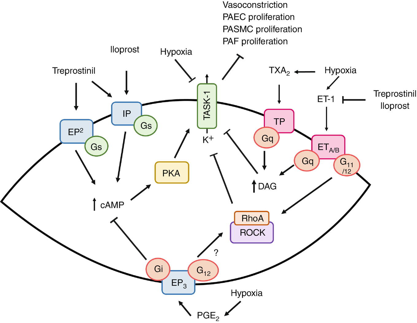 ../images/461877_1_En_5_Chapter/461877_1_En_5_Fig5_HTML.png