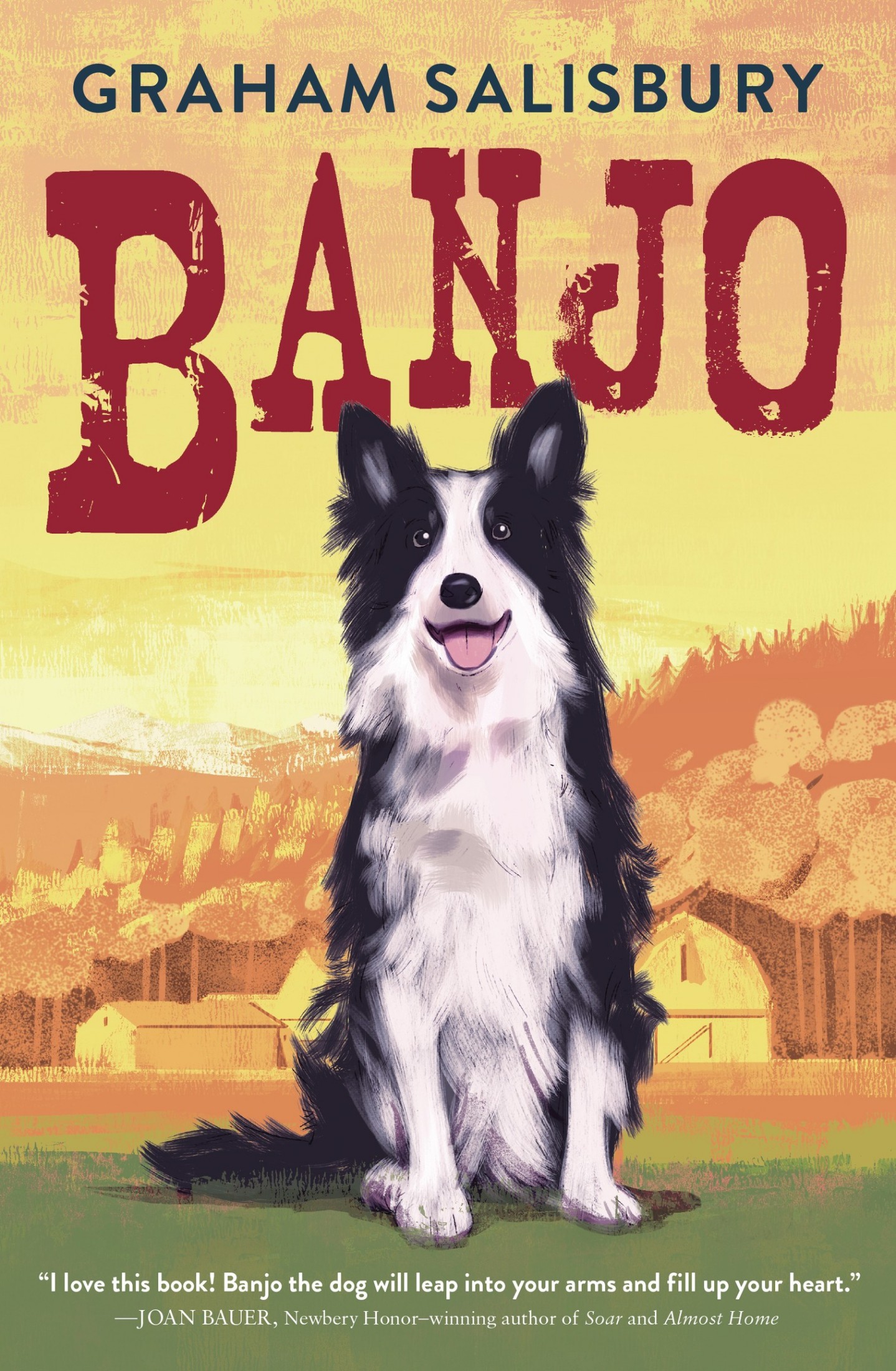 Cover for Banjo