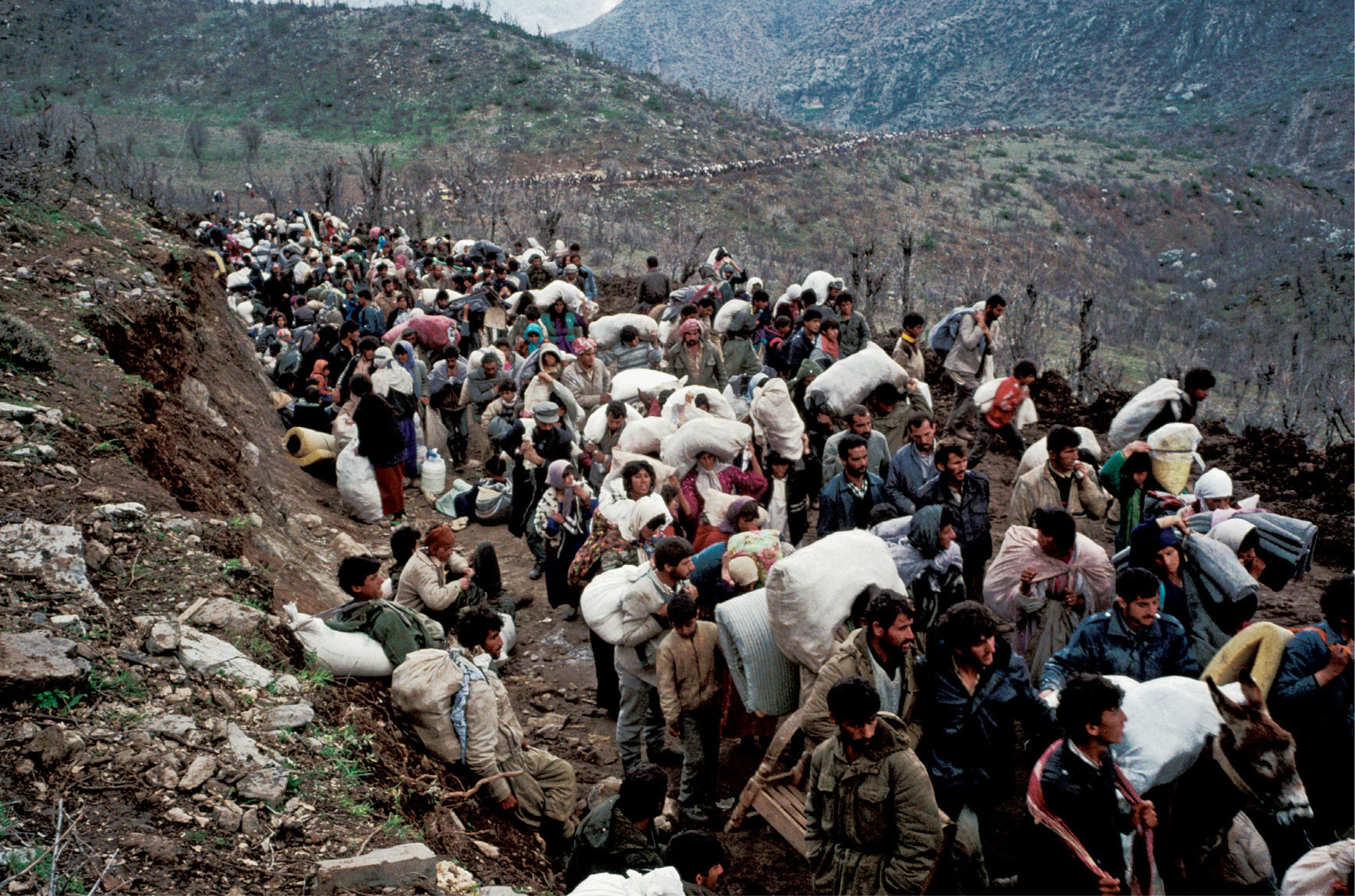 March 1991 --- Two million Kurds flee Iraq, settling at camps on the border to wait for humanitarian aid | Location: Iraq-Turkey Border.  --- Image by © Daniel LainÈ/CORBIS