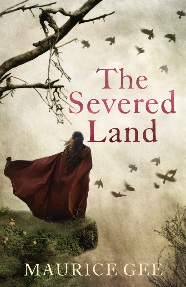 cover image for The Severed Land