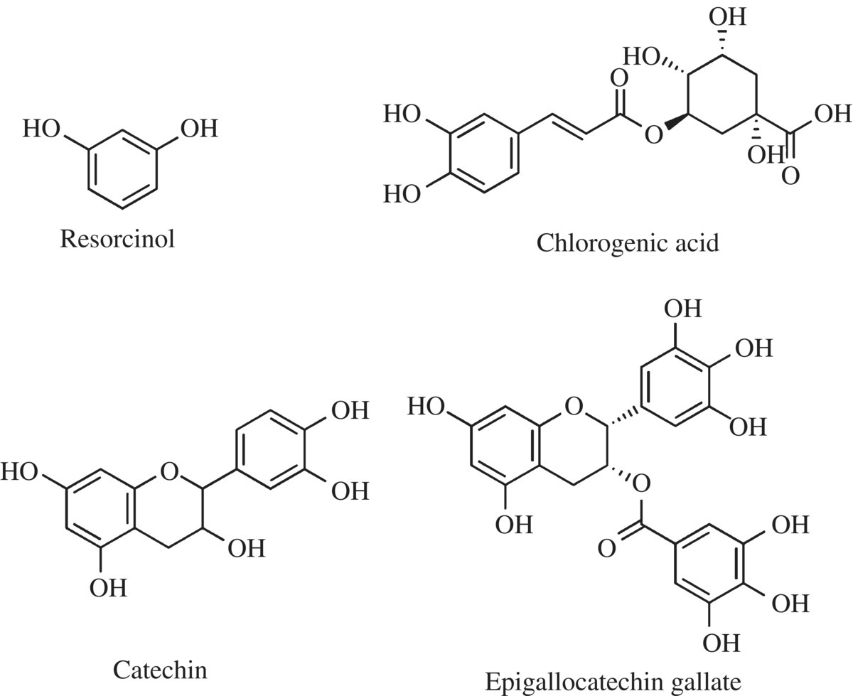 Schematic illustrating examples of plant phenols displaying structural formulas for resorcinol, chlorogenic acid, catechin, and epigallocatechin gallate.