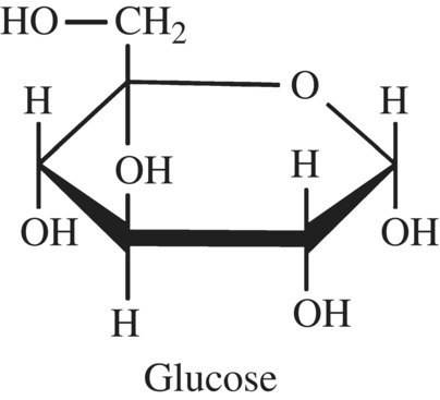 Chemical structure of glucose.