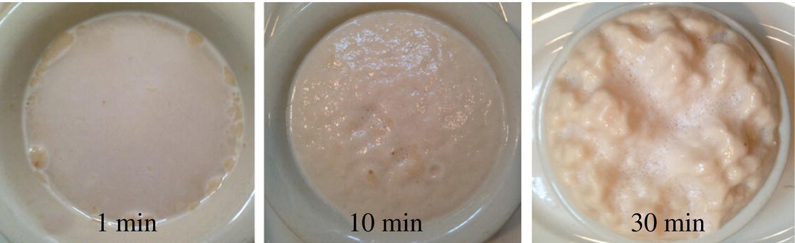 Photos of baker's yeast incubating in sugar and water after 1 minute, 10 minutes, and 30 minutes.