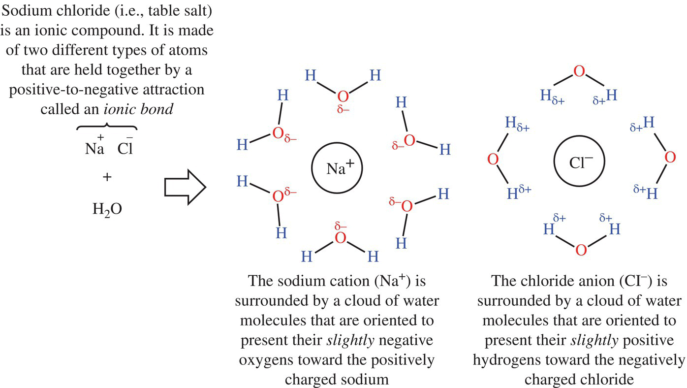 Schematic flow of sodium chloride dissolved in water separating sodium cation and chloride anion. Sodium and chloride are individually surrounded by a cloud of water.