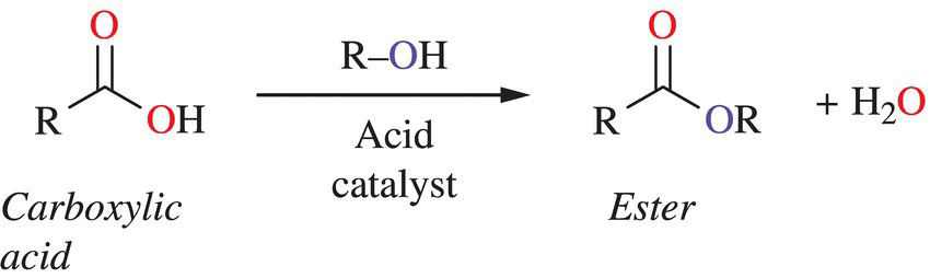 Schematic of the formation of esters from carboxylic acid.