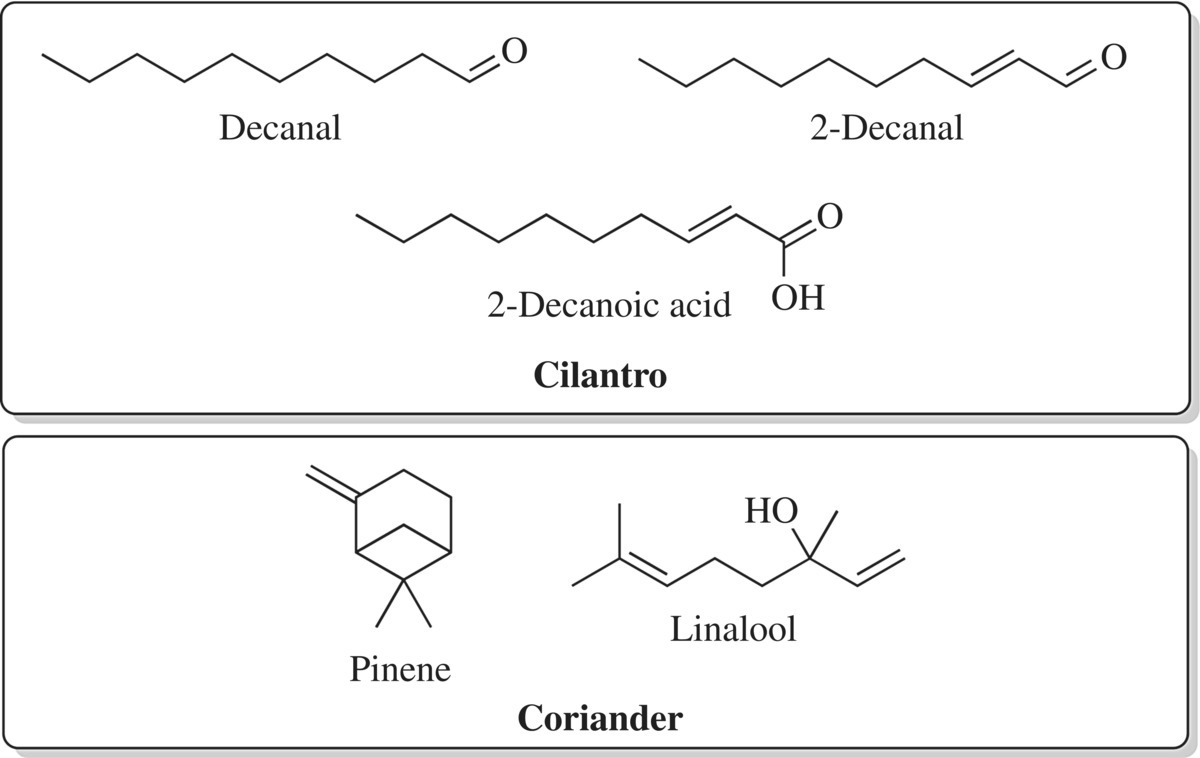 Structural formulas of decanal, 2-decanal, and 2-decanoic acid for cilantro (top) and pinene and linalool for coriander (bottom).