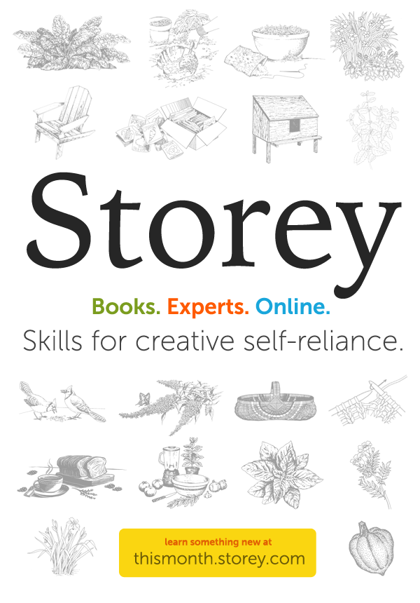 Storey