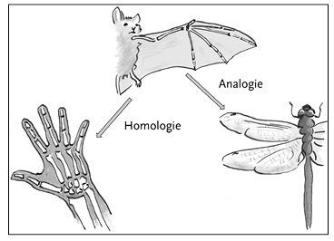 slimgenoeg.pdf