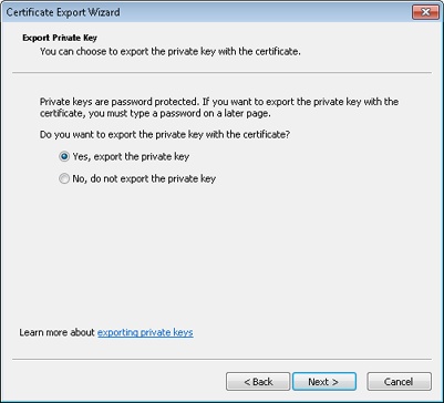 The wizard enables you to export the private key.
