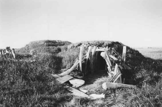 A traditional sod house was constructed of whale bone or driftwood, . . .