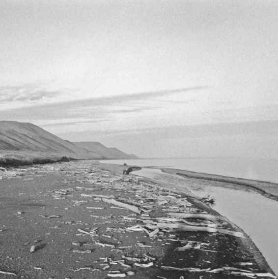 Driftwood lines the beach at the proposed ground zero. . .