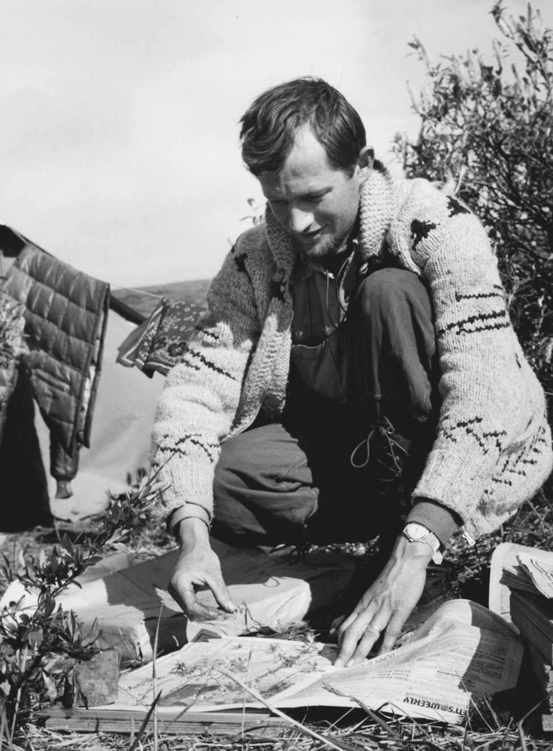 Leslie Vierek presses plants at his field camp near. . .