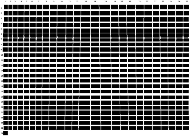 Figure 7.2 An arrangement of 25 batches of 25 pebbles each, i.e., 24 horizontal batches and one vertical.