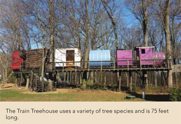 The Train Treehouse uses a variety of tree species and is 75 feet long.