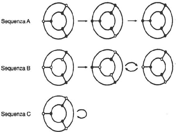Tre sequenze di stati in una rete binaria.