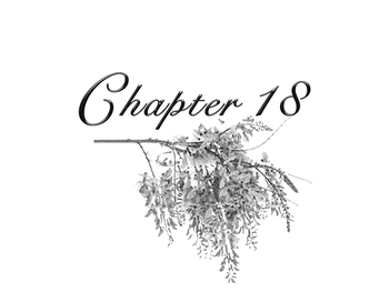 Chapter18