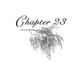 Chapter23