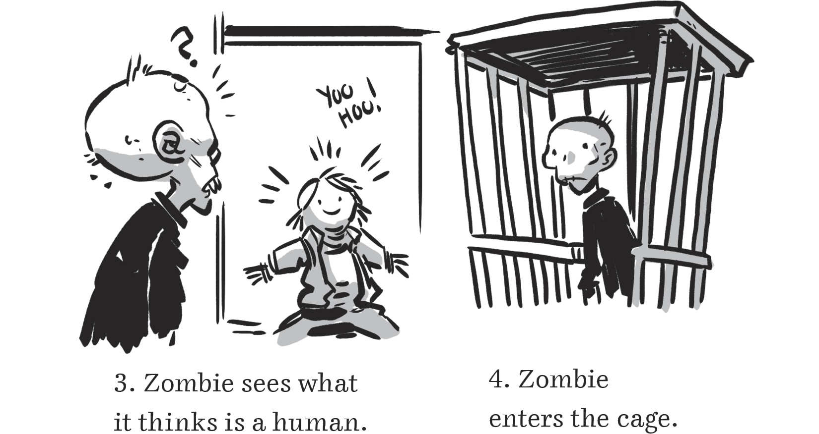     3. Zombie sees what it thinks is a human.      4. Zombie enters the cage.  