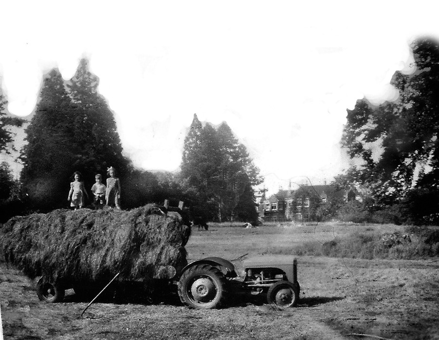 Haymaking 1951-hr.jpg